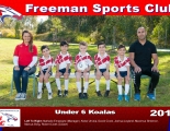 U6 Koalas