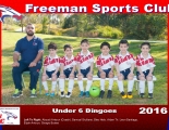 U6 Dingoes